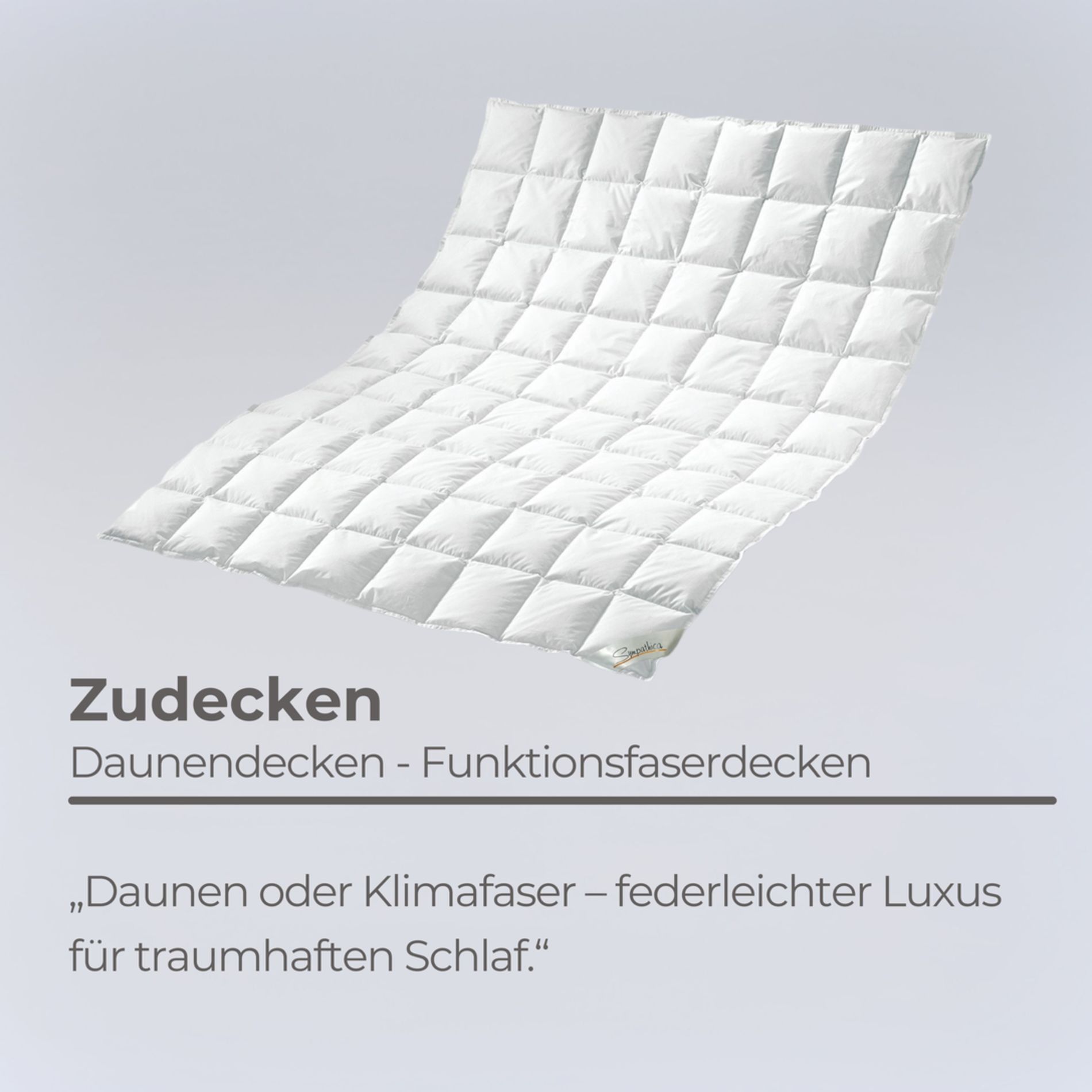 Zudecke.jpg