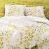 ESTELLA Bettwäsche Bio Satin Malaga